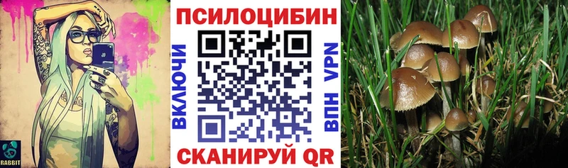 Купить закладки  Полярные Зори  Галлюциногенные грибы Psilocybine cubensis 